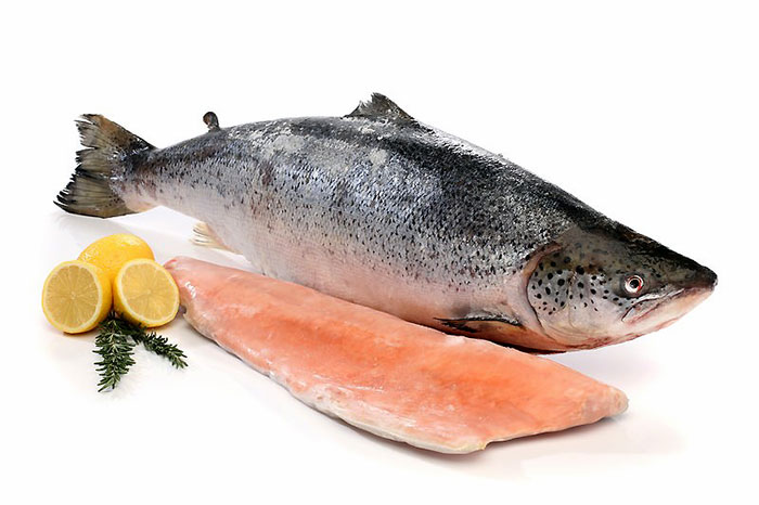 лосось филе оптом