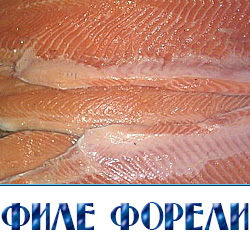 форель филе пласт купить оптом с доставкой в Подмосковье 