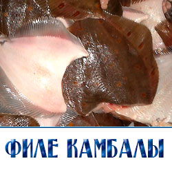 филе камбалы купить