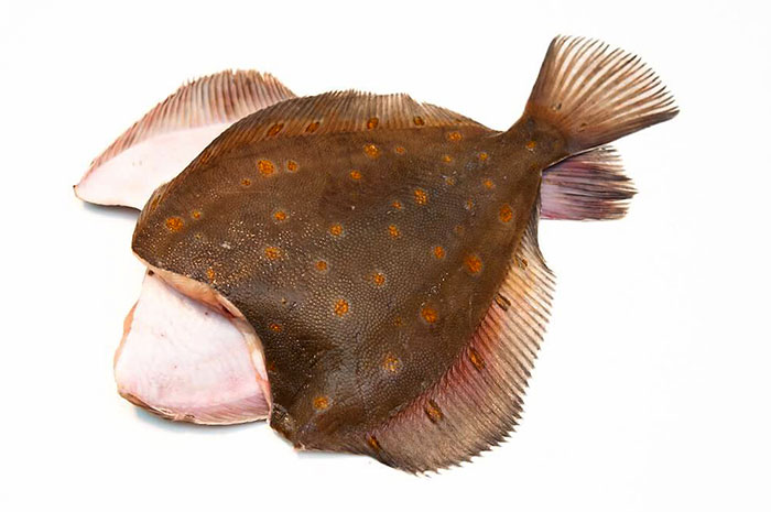 купить рыбу камбала