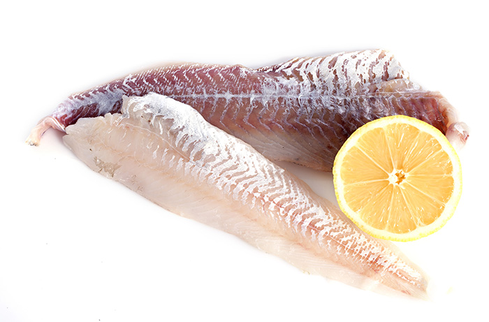 САЙДА ФИЛЕ купить недорого мелким оптом  в Подмосковье 