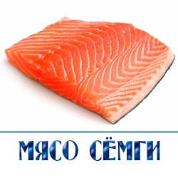 мясо семги цена