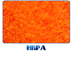 ЗАРЫБЛЕНИЕ ПОДМОСКОВНЫХ ВОДОЕМОВ