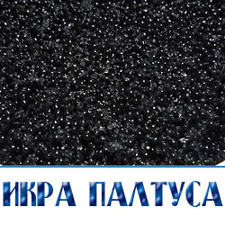 иккра палутса цена купить в  Московской области 