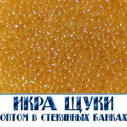 икра щуки в стеклянных банках по оптовой цене с доставкой по Московской области от прозводителя 