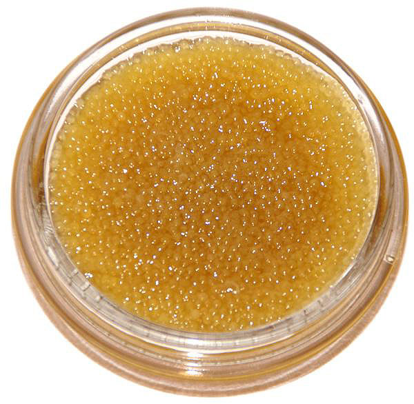 Икра щуки нашла вполне широкое применение и в современной общемировой кулинарии. Как правило, икру щуки подают в качестве самостоятельной закуски в сопровождении с крекерами или как начинку для бутербродов. Помимо того, икра щуки идеально подходит для приготовления легких соусов и салатных заправок, которые используют также и для ассорти из морепродуктов.  Калорийность икры щуки находится на сравнительно невысоком уровне. Конечно, калорийность икры щуки будет зависеть от исходных ингредиентов, используемых в процессе приготовления кулинарного изделия. Однако, средний уровень калорийности икры щуки находится на отметке в 131 Ккал, которые приходятся на 100 грамм продукта.