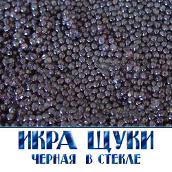 черная икра щуки крашеная в банках и на развес оптом  в кубоконтейнерах  с доставкой по Московской области  