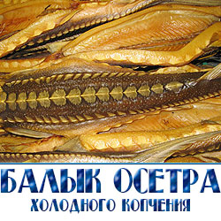 Балык остетра для продажи в розницу на рынке и в магазинах  по низким оптовым ценам с доставкой по Подмосковью 