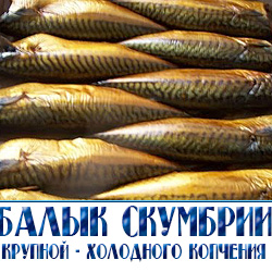 Балык из крупной скумбрии  мелким крупным и средним отом по низким ценам с доставкой по Подмосковью