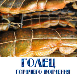 оптовые поставки  гольца горячего копчения по России 