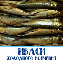 ИВАСИ оптом 