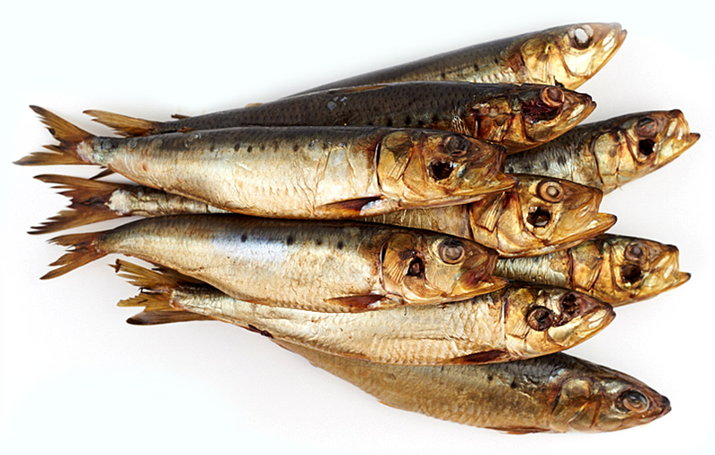 Капченая ИВАСИ оптом недорого со склада морепродуктов 