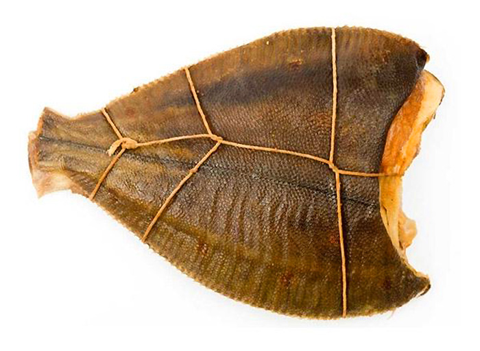 Камбала холодного копчения – это рыба, которая богата протеином. Мясо её не жирное, но сильно насыщено витаминами E, A и В., так же в составе этой рыбы имеются витамины Ca и P.  Она полезна для хорошего укрепления мышц, зубов, костей. Во время холодного копчения камбала оставляет все полезные свойства при себе и рыба остается вкусной. Камбала холодного копчения - прекрасная закуска к пиву.