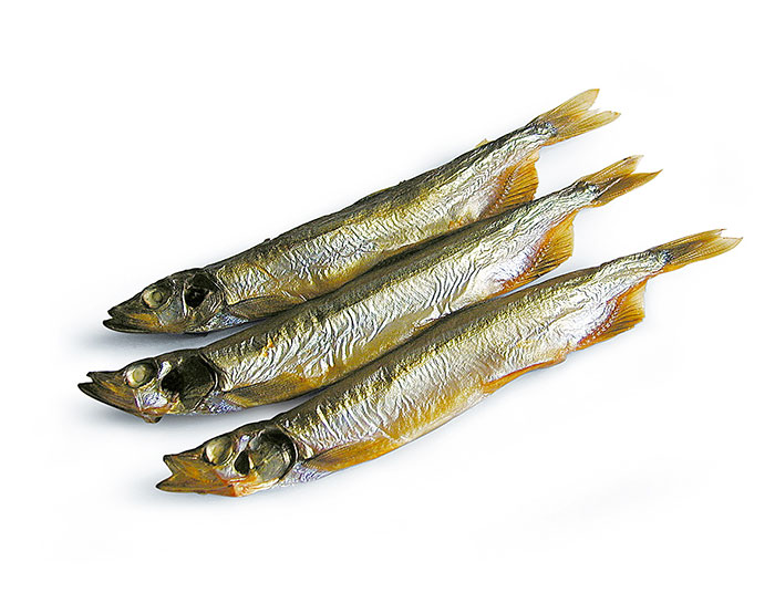 Йод полезен для щитовидной железы. Селен, жирные кислоты работают на повышение иммунитета, приводят в порядок сосуды. Фосфор отвечает за целостность костей, расщепление камней. Аминокислоты, витамины следят за биохимическим сбалансированным процессом усвоения мойвы.Икра самок поставляет белок, насыщает кальцием, имеет положительное влияние на половую и нервную системы, является мощным антиоксидантом. 