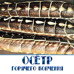 осетр горячего копчения оптом по договорным заводским ценам  с доставкой по Московской области 