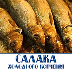 салака холодного копчения мелким  средним оптом со склада в московской области по ценам прошлого года