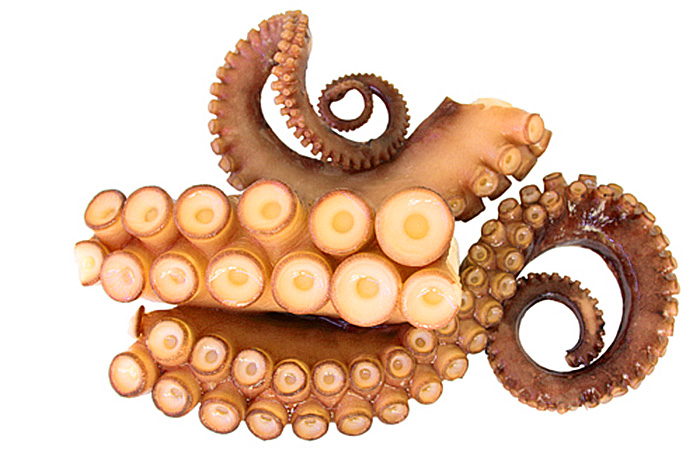  В мясе этого моллюска содержится огромное количество белка, полезных макро и микроэлементов, витаминов, а также фосфорной и омега-3 кислоты, поэтому польза осьминога для здоровья человека очевидна. Входящий с его состав цинк, способен замедлять процессы старения кожи, укреплять иммунную систему, оптимизировать деятельность поджелудочной железы и улучшать работу органов зрения и мозга.   В особенности польза осьминога благотворно сказывается на состоянии здоровья человека при его регулярном употреблении за счет содержания витамина B12, который содействует синтезу миелина. Этот антиоксидант при острой и хронической гипоксии обогащает клетки организма кислородом.