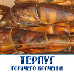 Терпуги - стайные морские донные рыбы, которые обитают, в основном, в прибрежных водах и зоне континентального шельфа на глубинах до 200 м. Это в основном рыбы мелких и средних размеров длиной 25 - 60 см и весом до 2,5 кг. Размножение обычно происходит в зимние месяцы, в это время терпуги перемещаются на мелководье. Молодь часто держится у поверхности в открытом море, где ею питаются лососи и другие рыбы. Подрастая, терпуги переходят к донному образу жизни. Мальки питаются планктоном и икрой других рыб. В рацион взрослых рыб входят более крупные ракообразные, в том числе креветки и крабы, различные донные рыбы, а также кальмары и осьминоги.