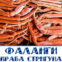 Фаланги краба стригуна купить оптом с доставкой по Московской области 