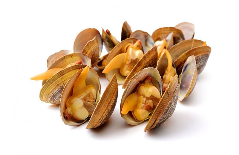 Купить клеммы вонголе в раковине по оптовой цене с доставкой на дом. 