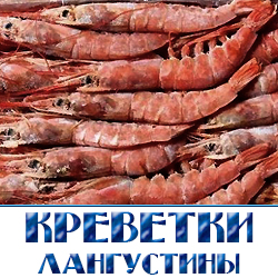 krevetki langustiny