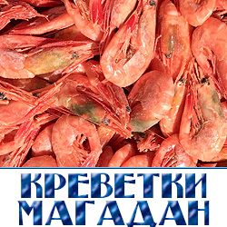 Магаданская креветка крупная. Размер одной креветки - около 10 см. В одном килограмме от 15 до 30 штук. Сорт креветки - углохвостая, добывается рядом с Магаданом в морских водах, отваривается, замораживается и упаковывается там же, на траулерах. 