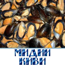 Мидии зелёные Киви в половине ракушки являются очень популярным продуктом в кулинарии разных стран. Это вкусные, аппетитные и низкокалорийные моллюски, которые удобно использовать для запекания и украшения стола. Ведь мидии можно красиво подать прямо в половинках раковин с яркой икрой Тобико, изысканным соусом или горчицей Вассаби. 