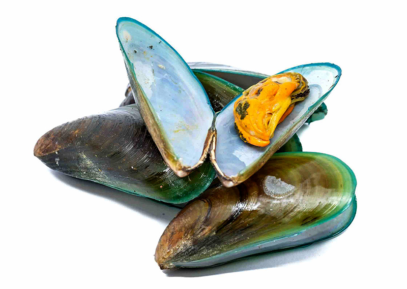 Зелёные мидии Киви относятся к очень полезным и питательным продуктам. Они обогащены железом, марганцем, фосфором, кремнием, цинком и витаминами, больше всего из которых в мидиях содержится витамина С и В12. Мидии - это лучший источник протеина. Диетологи любят этот продукт за низкое содержание холестерина и наличие нужного количества важных Омега-3 полиненасыщенных жирных кислот, которые необходимы для нормализации сердечно - сосудистой системы и обмена веществ. Вы можете купить зелёные мидии Киви с доставкой на дом в нашем интернет-магазине. Размораживайте продукт сначала на нижней полке холодильника, а затем при комнатной температуре. Повторная заморозка запрещена!