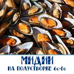 Купить мидии на полустворке 60 80 оптом 