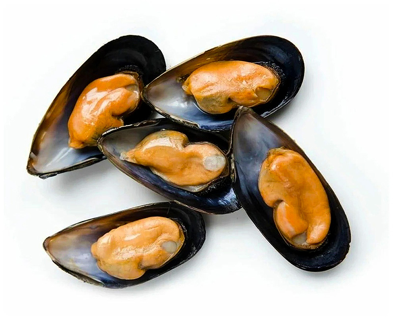 Мидии на полустворке купить недорого по оптовой цене. 