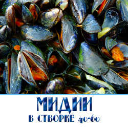 Мидии в створках замороженные купить по оптовой цене с доставкой. 