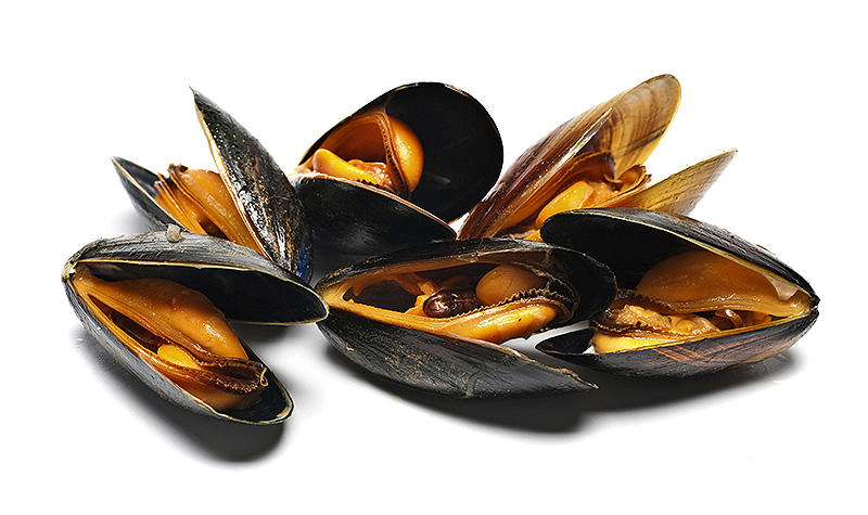 Мидии в створках купить в Москве оптом с доставкой. 