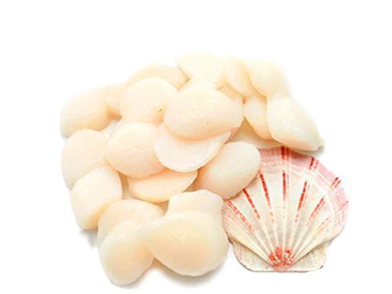 Морские гребешки относятся к семейству двустворчатых морских моллюсков. Гребешки способны перемещаться в толще воды благодаря созданию реактивной тяги частым хлопаньем створок. Эти моллюски обитают во всех океанах. Раковина гребешков неравностворчатая с ушками – крупными площадками сзади и спереди от вершины. Их размер может быть разным, например, японские очень крупные, а галисийские и шотландские достигают средних размеров. Красные чилийские гребешки очень вкусные и ценятся в Западном полушарии, хоть они и мелкие.