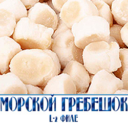 Морской гребешок L 2 оптом с доставкой 