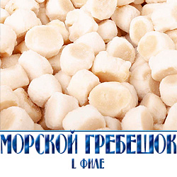 Морской гребешок l филе по оптовой цене с доставкой 