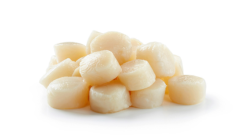 Морской гребешок замороженный купить оптом с доставкой. 