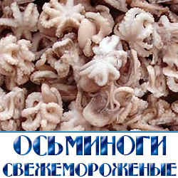 У этого морепродукта отличное качество и вкус. У осьминога очень нежное мясо со сладким привкусом. Из них готовятся деликатесные блюда. Почетное место отводят также в диетах осьминогу. Моллюски заморожены сразу после вылова, что сохраняет полезные свойства и вкусовые качества. 