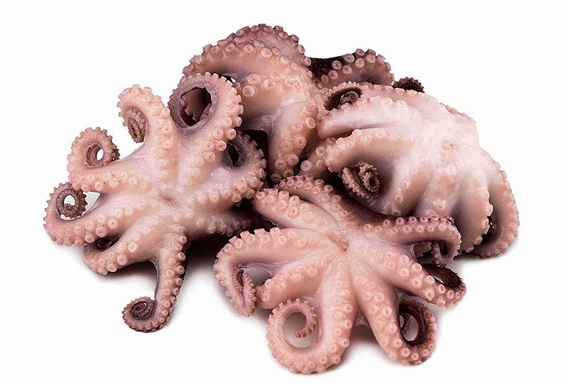 В осьминогах содержатся жирные кислоты Омега-3, минералы и микроэлементы. Много белка и каротина. Употребление их обеспечивает насыщение организма аминокислотами, в то время как жиров и углеводов немного. Заморозка происходит в соответствии с правилами, что придает осьминогам ценные свойства в качестве источника минералов. 