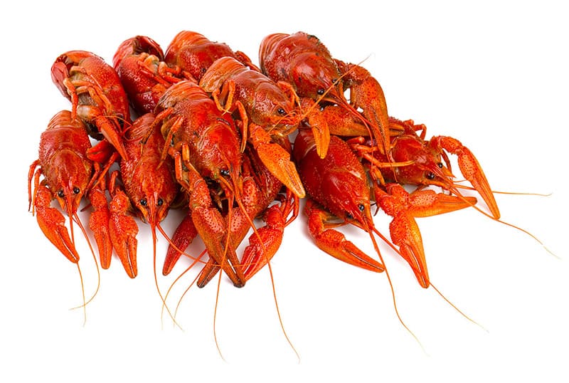 Раки замороженные с доставкой по оптовой цене. 