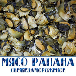 Мясо рапанов купить оптом недорого с доставкой по Московской области. 
