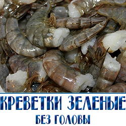 zelenye krevetki