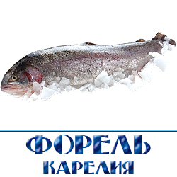 ohlazhdennaja forel karelija