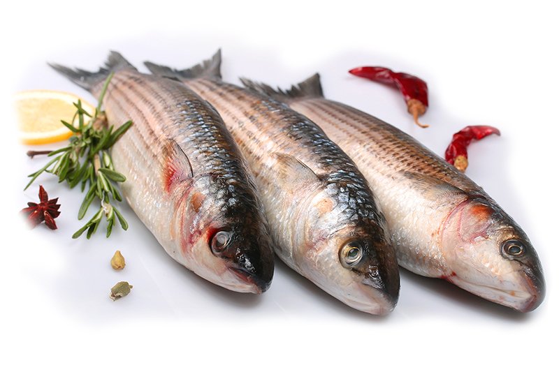 Кефаль – рыба морская, хотя существуют виды, встречающиеся исключительно в пресной воде. Но доказано, что изначально все виды рыб семейства кефалей обитали в морях и океанах. Изредка в поисках корма они заходили в устья рек. Где со временем и остались. Поэтому речная кефаль – это исключение. Род включает в себя множество видов. Кефаль обитает повсеместно, в морях субтропических и тропических регионов. В России ее успешно ловят в Черном, Азовском, Каспийском и Японском море. Размеры рыбы зависят от вида. Самая крупная – полосатая кефаль, она может достигать в длину 50-60 см. Вес – до трех килограмм. Внешне виды схожи, у них блестящая чешуя, небольшой рот. Кроме того, это весьма подвижные рыбки. Они могут легко выпрыгнуть из воды и преодолеть препятствия, в том числе и рыболовецкие сети. Кефаль – стайная рыба. Она является объектом промыслового вылова. Но помимо этого, кефаль еще и ценный трофей любителей рыбалки.  