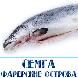 ohlazhdennaja semga fo