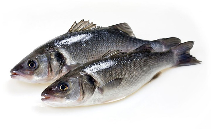 Сибас обыкновенный У лаврака вытянутое тело, имеющее зеленоватый оттенок на спине, серебристый цвет по бокам и светлое брюхо. Чешуя крупная. На спине два плавника, на переднем есть острые шипы. Колючками «утыкана» часть головы рядом с жабрами. Глаза у рыбы сдвинуты немного, его взгляд направлен вверх.  Сибас черный Окрас черного лаврака может меняться, приспосабливаясь к месту его пребывания. Диапазон цветовой палитры от коричневого цвета с сероватым оттенком до синевато-черного. К брюшку цвет постепенно бледнеет и переходит в серый. У черного лаврака массивное, выгнутое к хвосту тело, «острая» голова и большой рот. Спину «охраняют» два острых плавника, способных проткнуть человеческую руку. Часть головы в районе жабр «украшена» колючками.