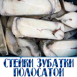 Полосатая зубатка оптом с доставкой по Московской области. 