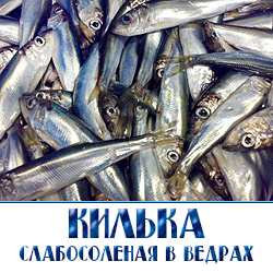 Килька соленая в ведрах по оптовым ценам с доставкой по Московской области 
