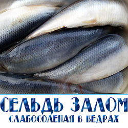 Оптовая продажа сельди в ведрах  с доставкой по Москве и Московской области 
