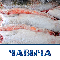 Купить чавычу свежемороженую в Москве по оптовой цене. 