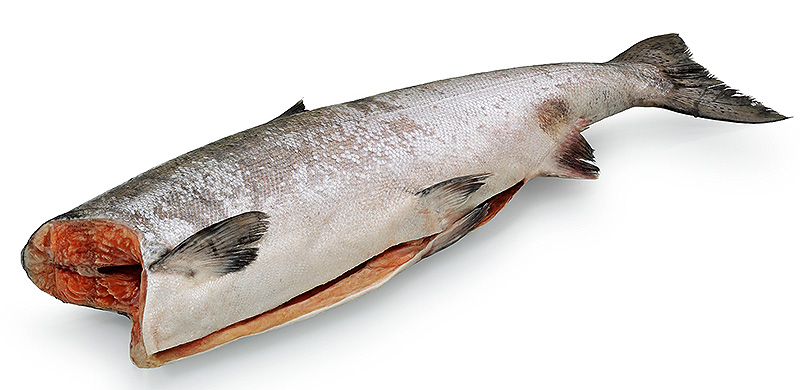 Чавыча ПСГ свежемороженая оптом  с доставкой по Московской области